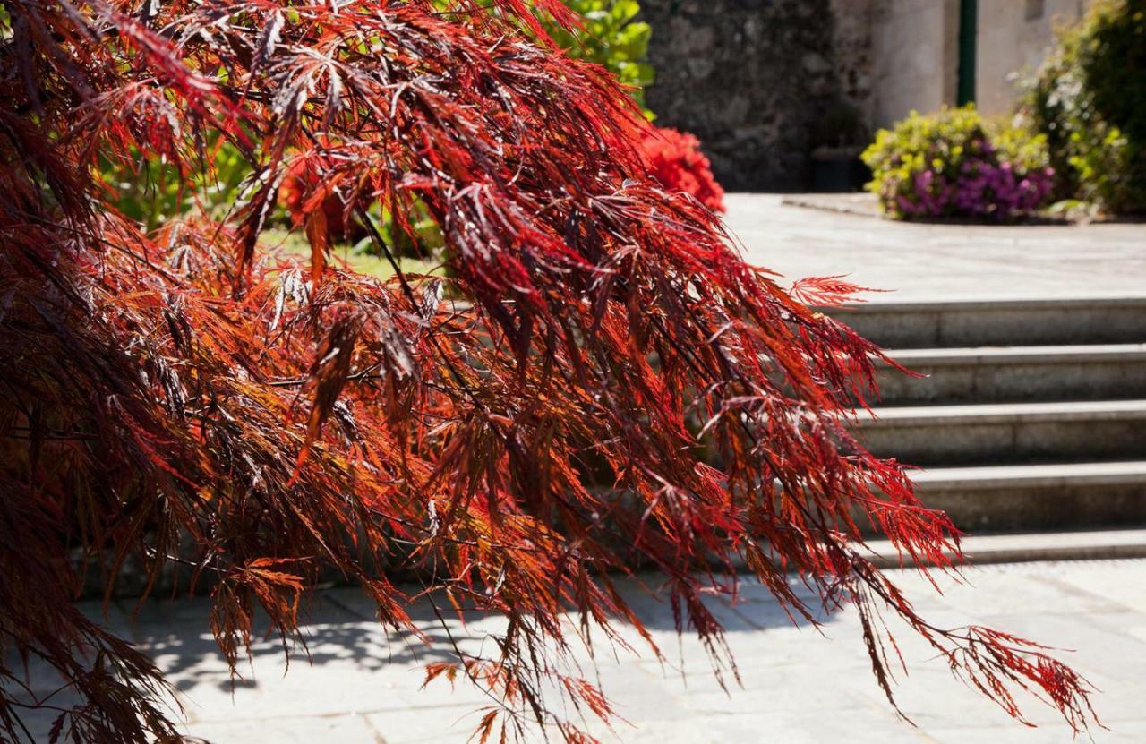 塞拉诺瓦 Jardines Pazo A Fabrica旅馆 外观 照片